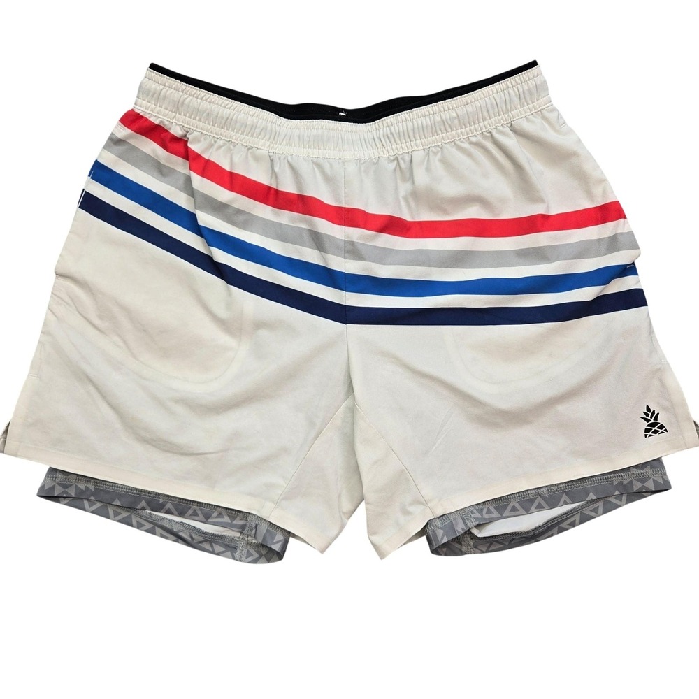 Chubbies Shorts Mens M Multicolor Stripe Drawstring Elastic Waist Athletic Liner